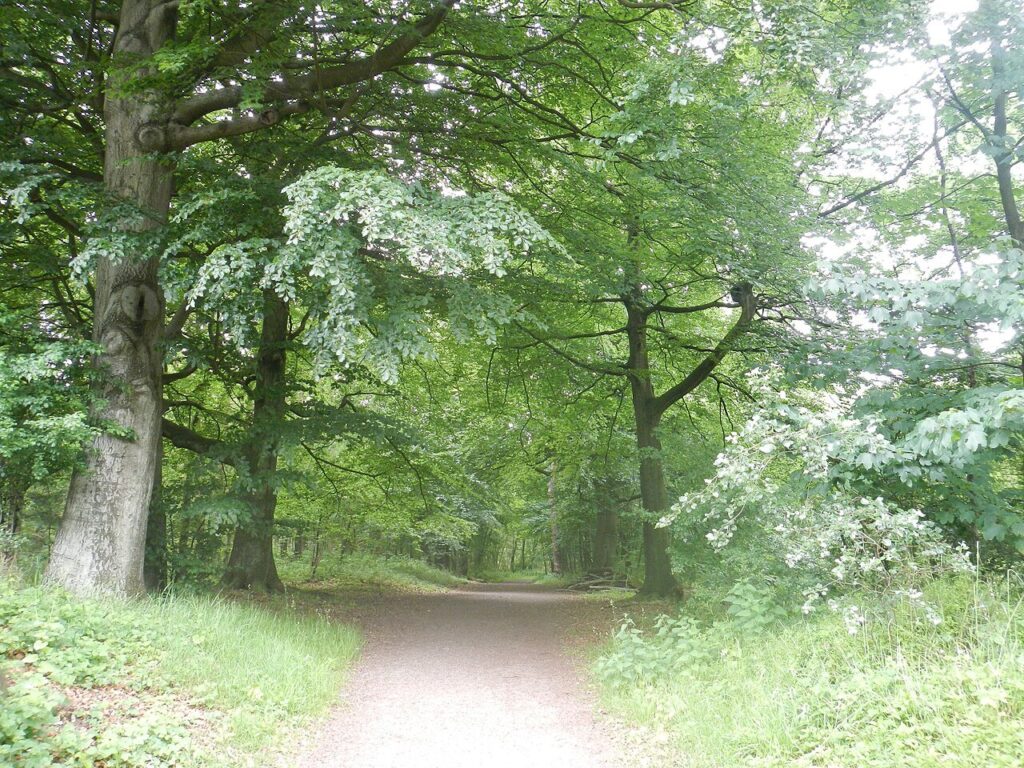 Bunkertocht in Cadzand
