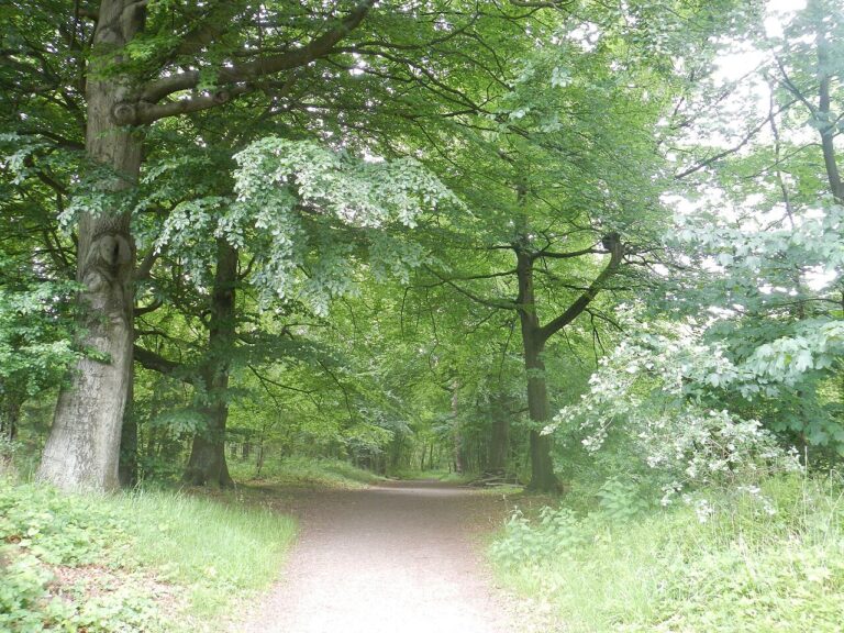 Bunkertocht — natuur in Cadzand